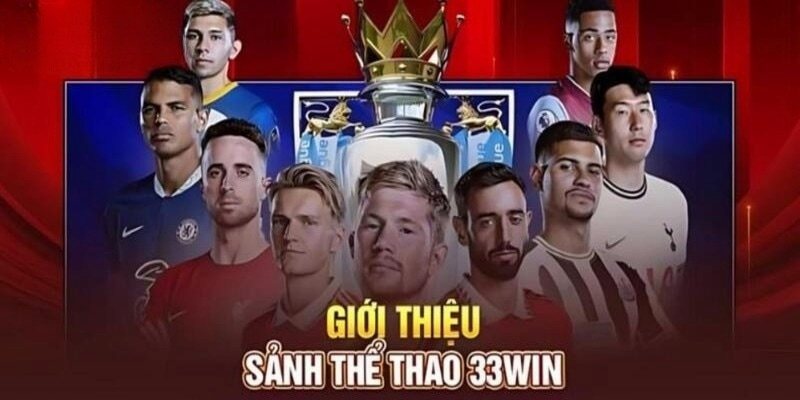 Top 5 sảnh cược uy tín tại thể thao 33win